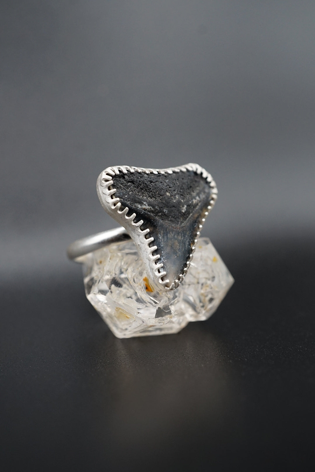 ~Bull Shark Tooth Ring~ Adjustable Size 6.5