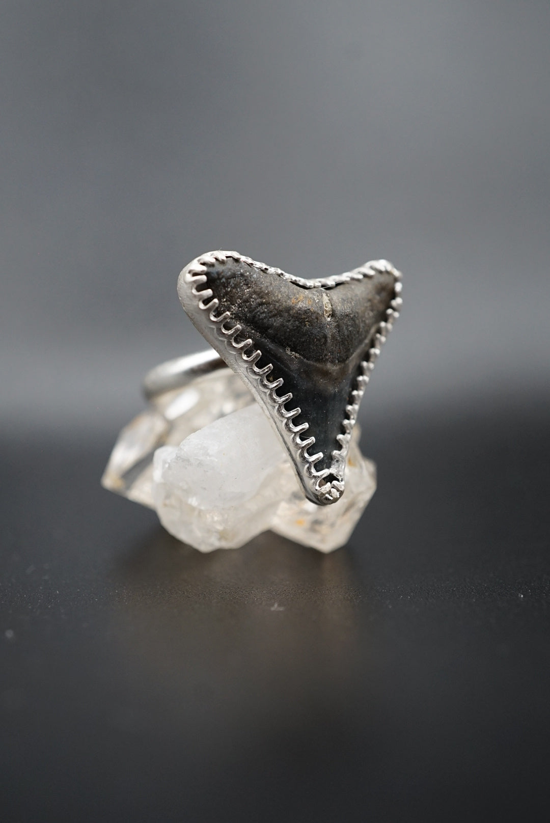 ~Bull Shark Tooth Ring~ Adjustable Size 7.5