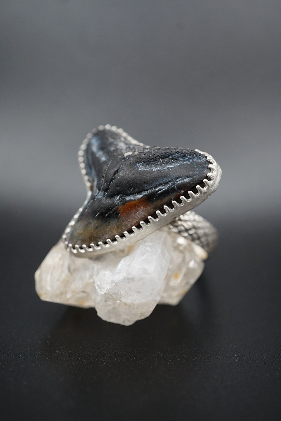 ~Tiger Shark Tooth Ring~ Adjustable Size 8.5 Snakeskin Band