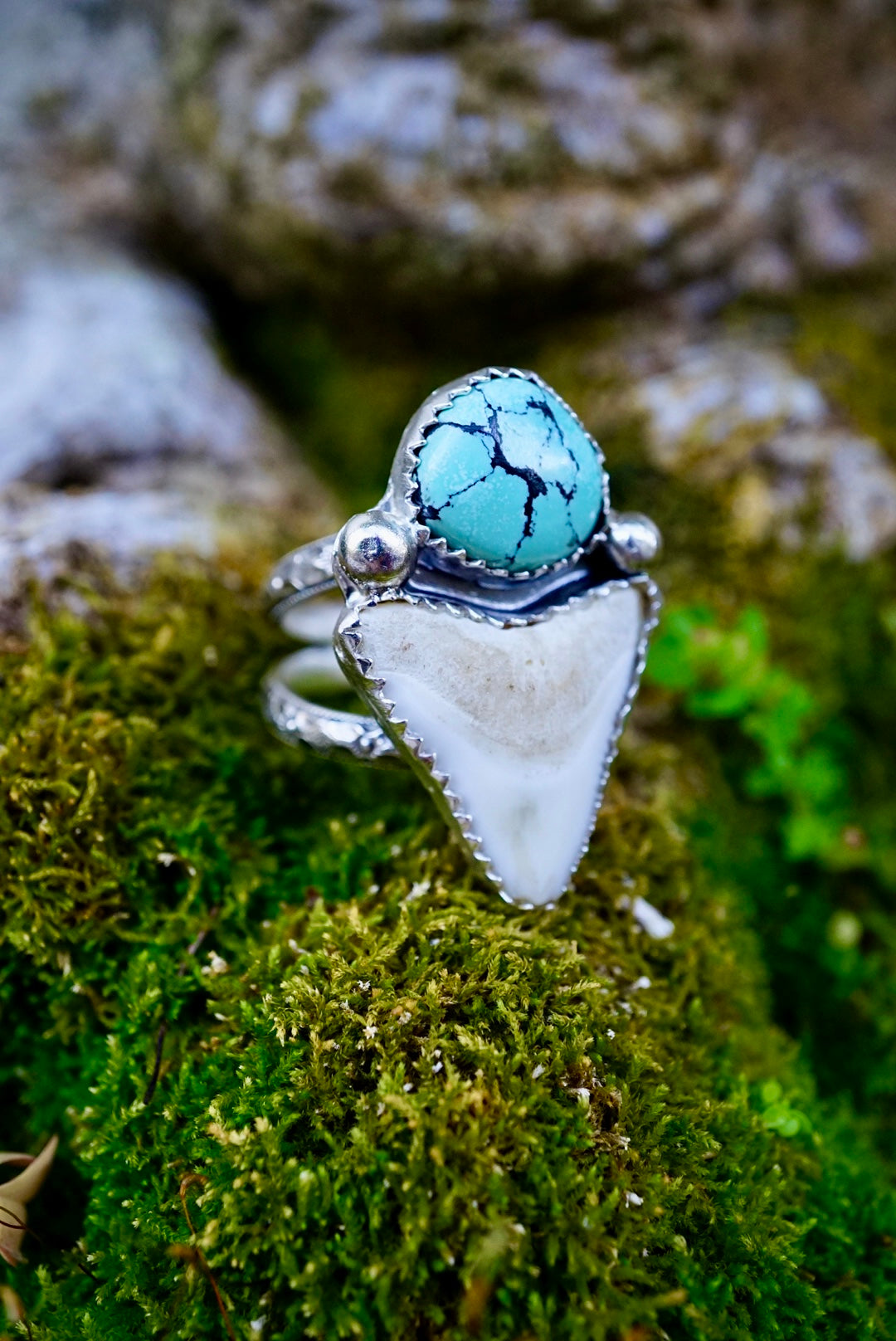 ~•Clöud Möuntain Turquoisē & White Bull Shärk Tooth Ring•~ {Size 8.25}