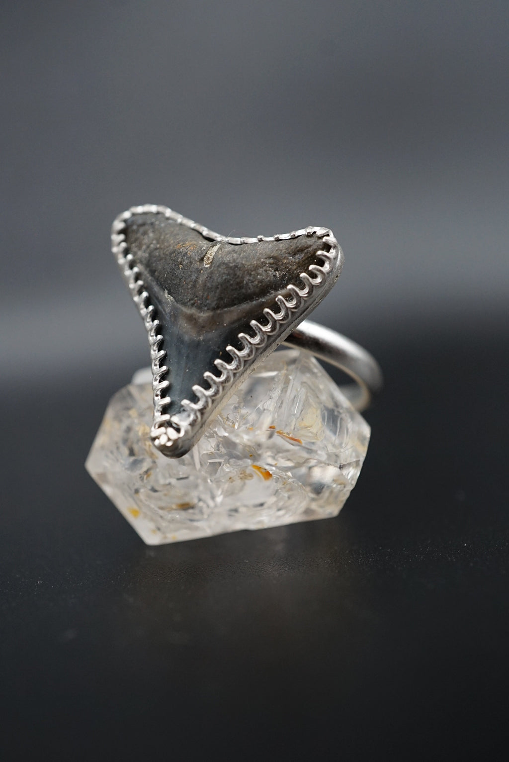 ~Bull Shark Tooth Ring~ Adjustable Size 7.5