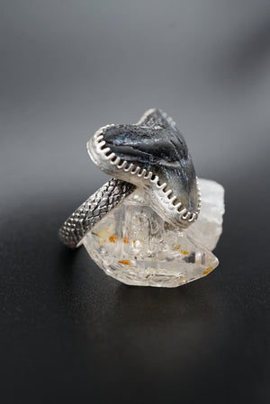~Tiger Shark Tooth Ring~ Adjustable Size 8.5 Snakeskin Band