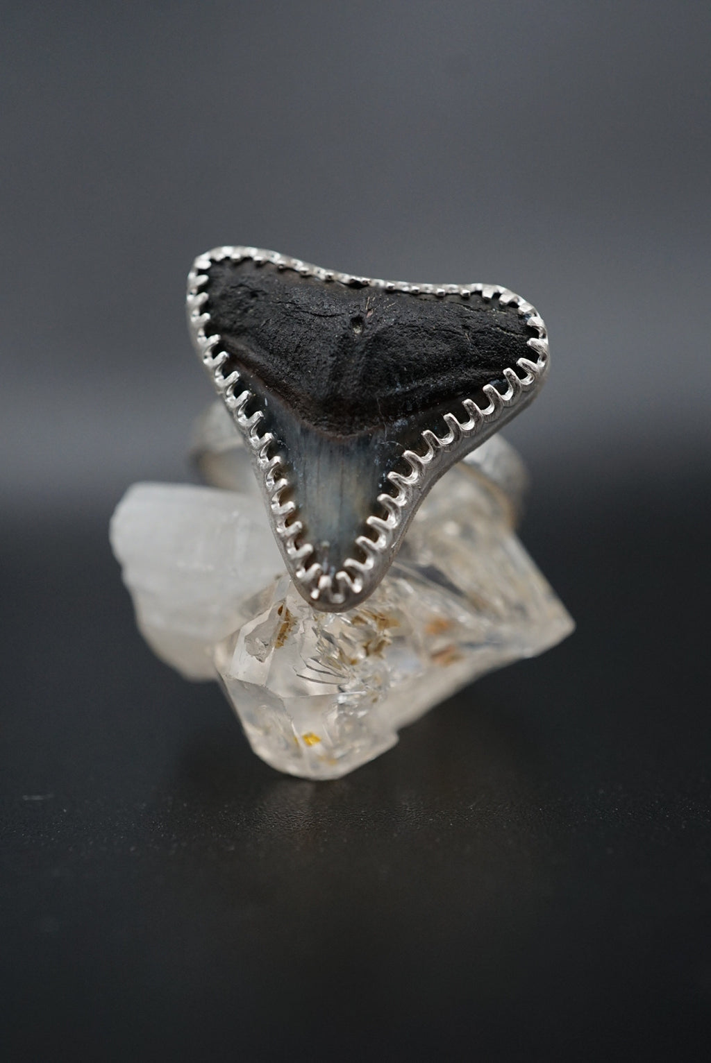 ~Bull Shark Tooth Ring~ Adjustable Size 8.5 Hammered Band
