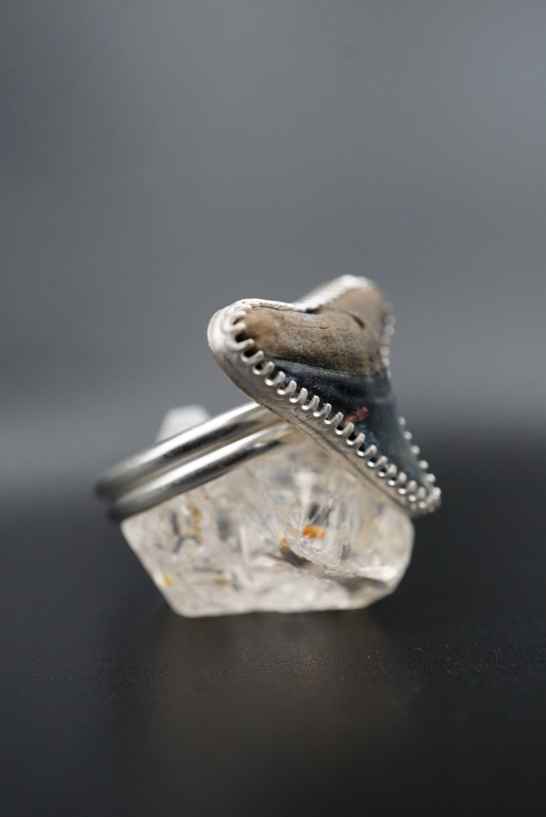 ~Bull Shark Tooth Ring~ Adjustable Size 10