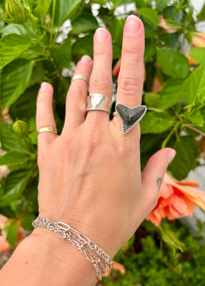 Bull Shark Tooth Sterling Silver Adjustable Ring Size 6