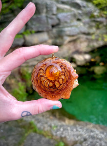 ~Fossilized Amber Resin Pinecone~ Large