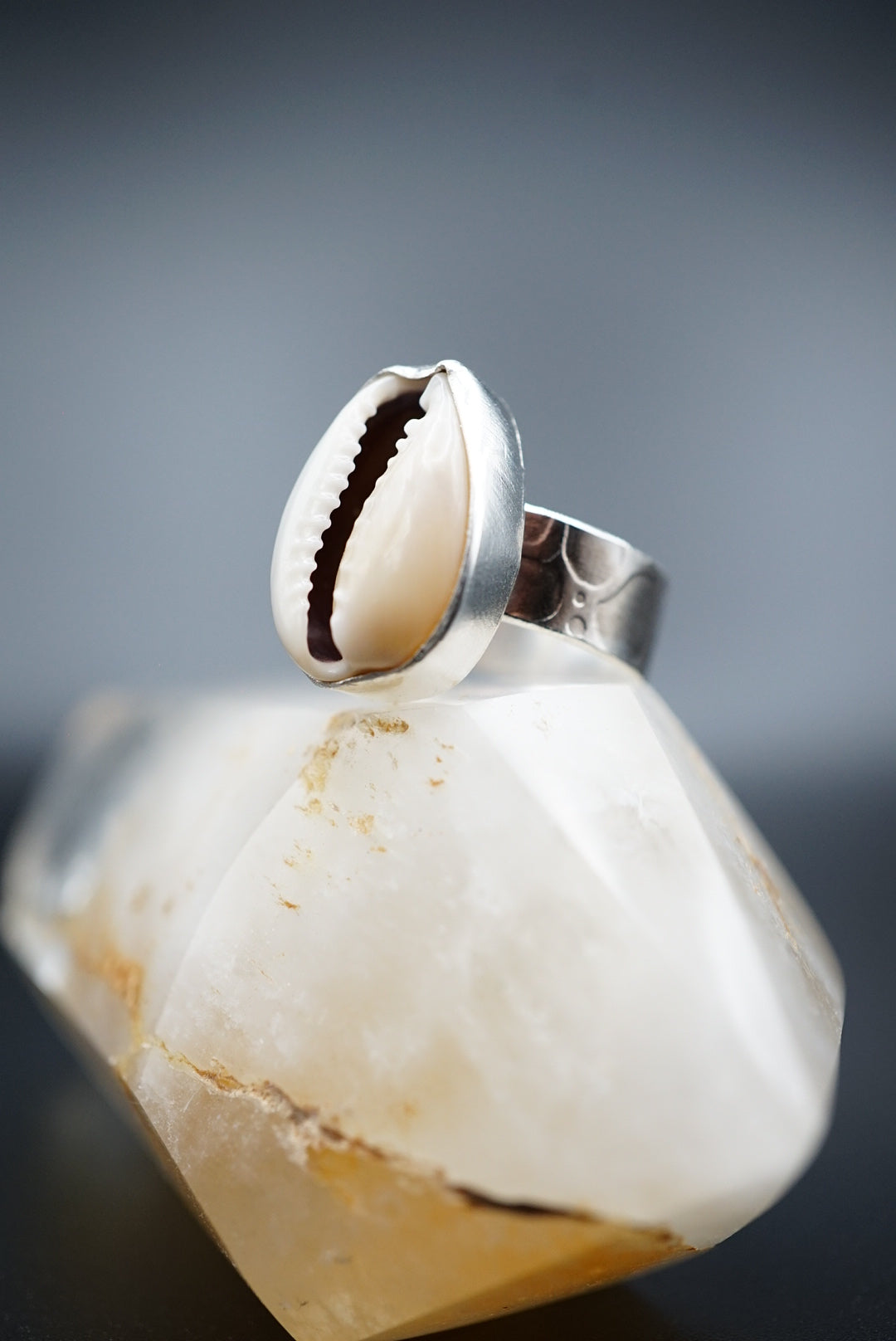 ~Cowrie Shell Ring~ Size 5.5