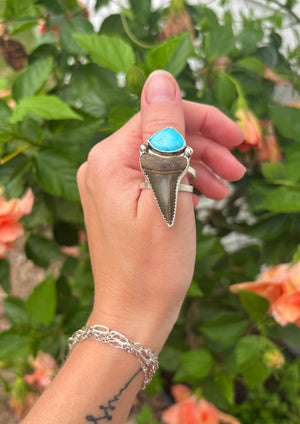 Mako Shark Tooth and Kingman Turquoise Sterling Silver Ring Size 9.5