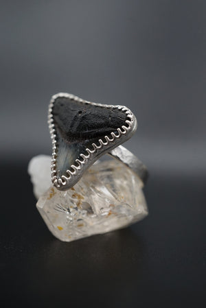 ~Bull Shark Tooth Ring~ Adjustable Size 8.5 Hammered Band