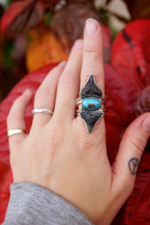 ~•Döuble Bull Shark Toöth & Turquoisē Ring•~ {Size 9.5}