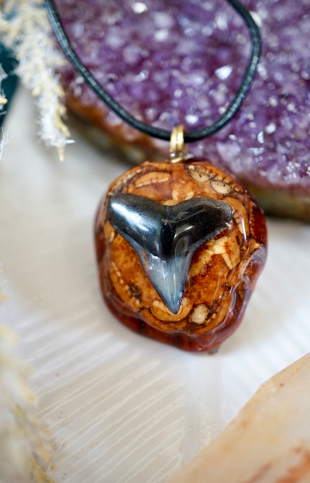 ~•Bull Shark Tooth Pinecone•~ Mini