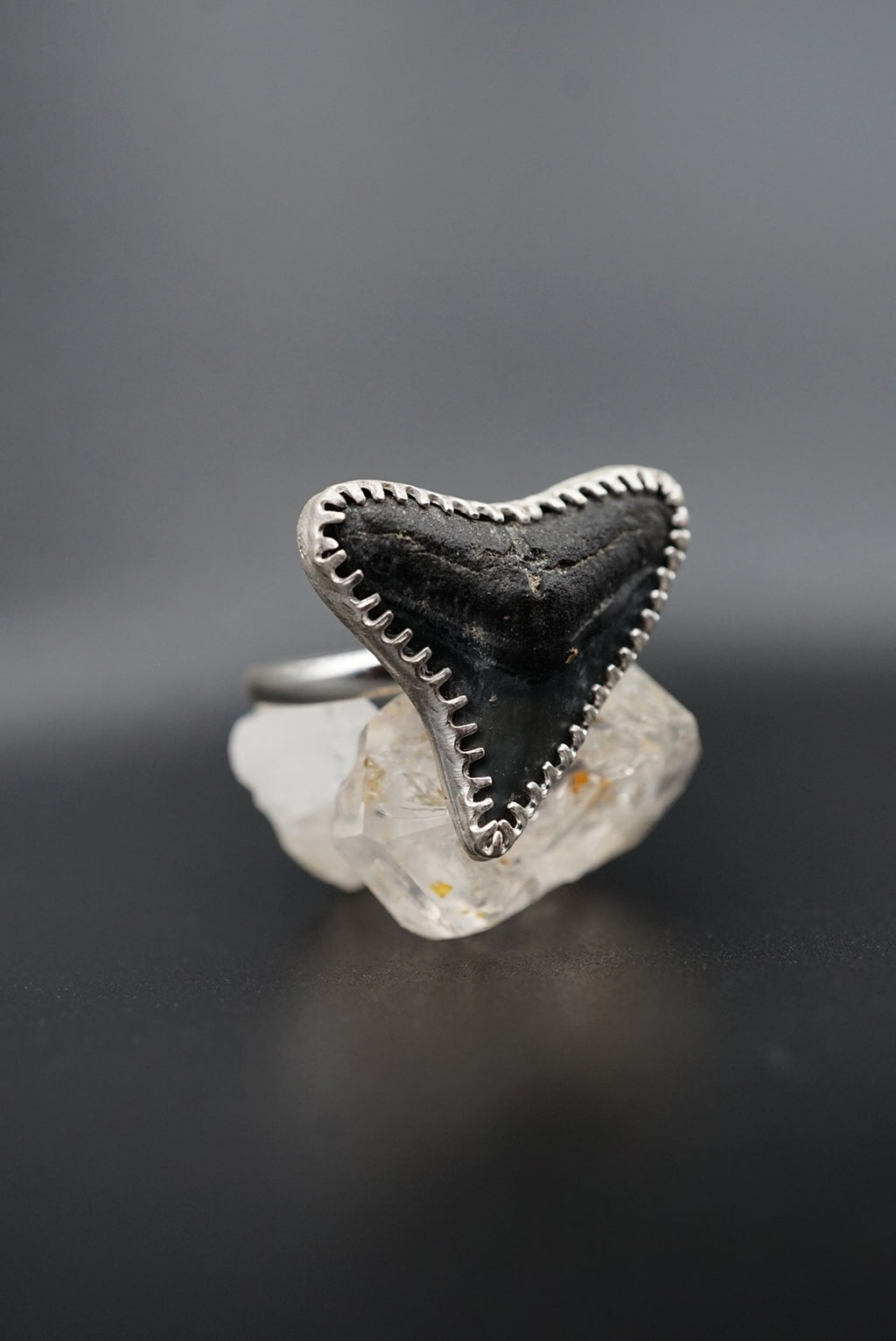 ~Bull Shark Tooth Ring~ Adjustable Size 8.5
