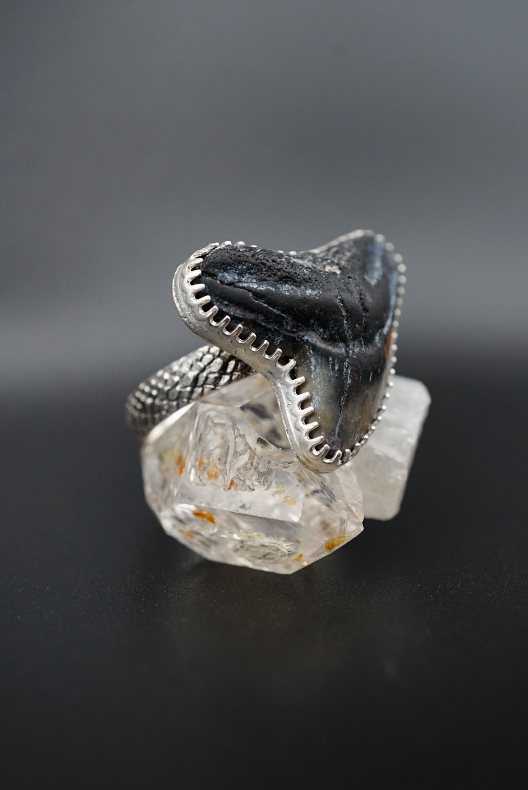~Tiger Shark Tooth Ring~ Adjustable Size 8.5 Snakeskin Band
