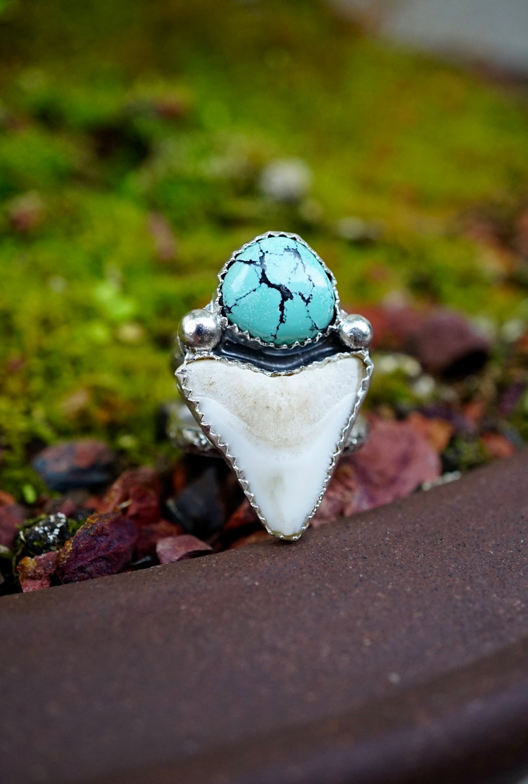 ~•Clöud Möuntain Turquoisē & White Bull Shärk Tooth Ring•~ {Size 8.25}