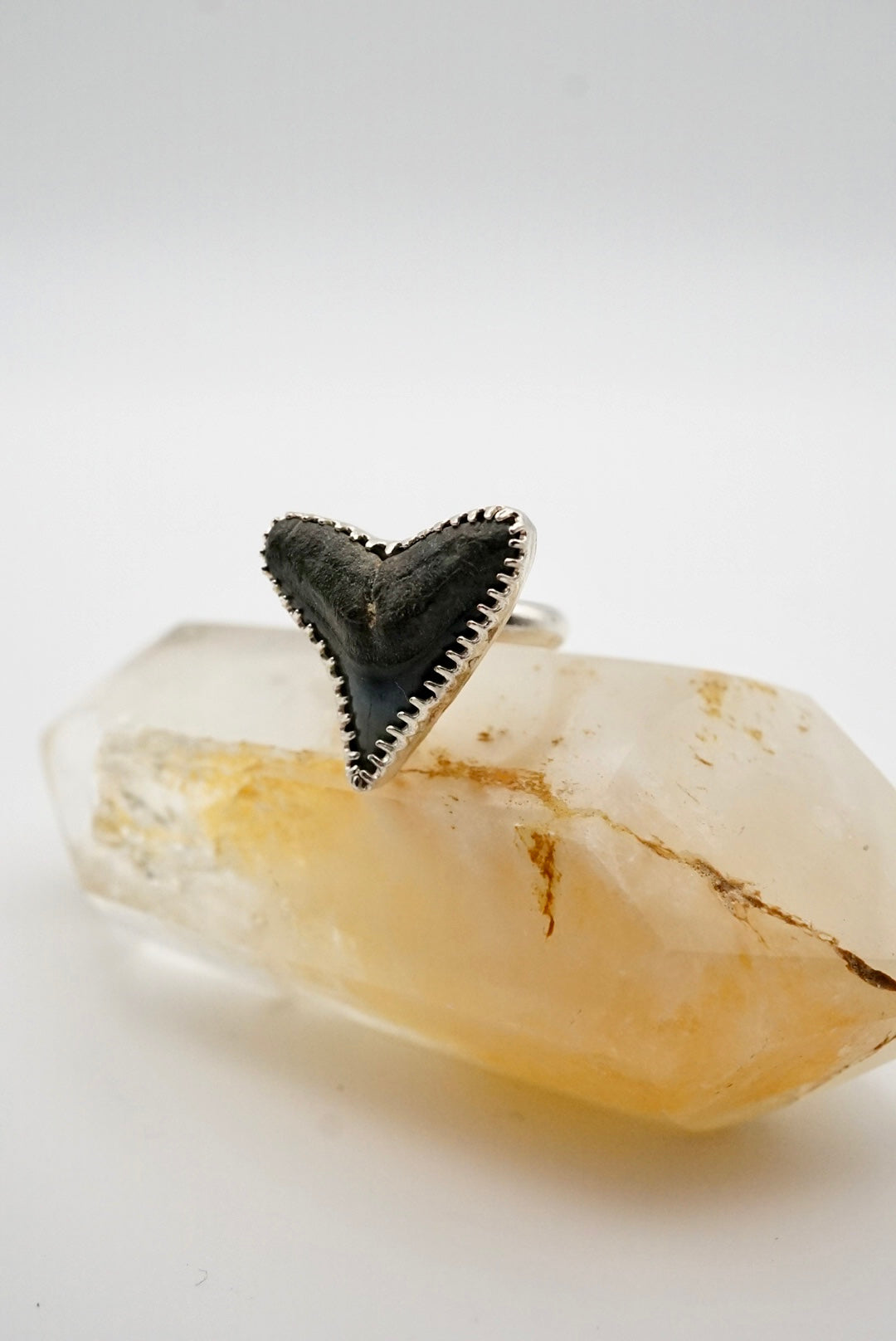 Bull Shark Tooth Sterling Silver Adjustable Ring Size 6
