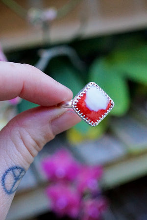 ~•Spinÿ Oystēr Shell Ring•~ Size 8