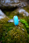 ~•Turquoisē Ring•~ {Size 7.25}