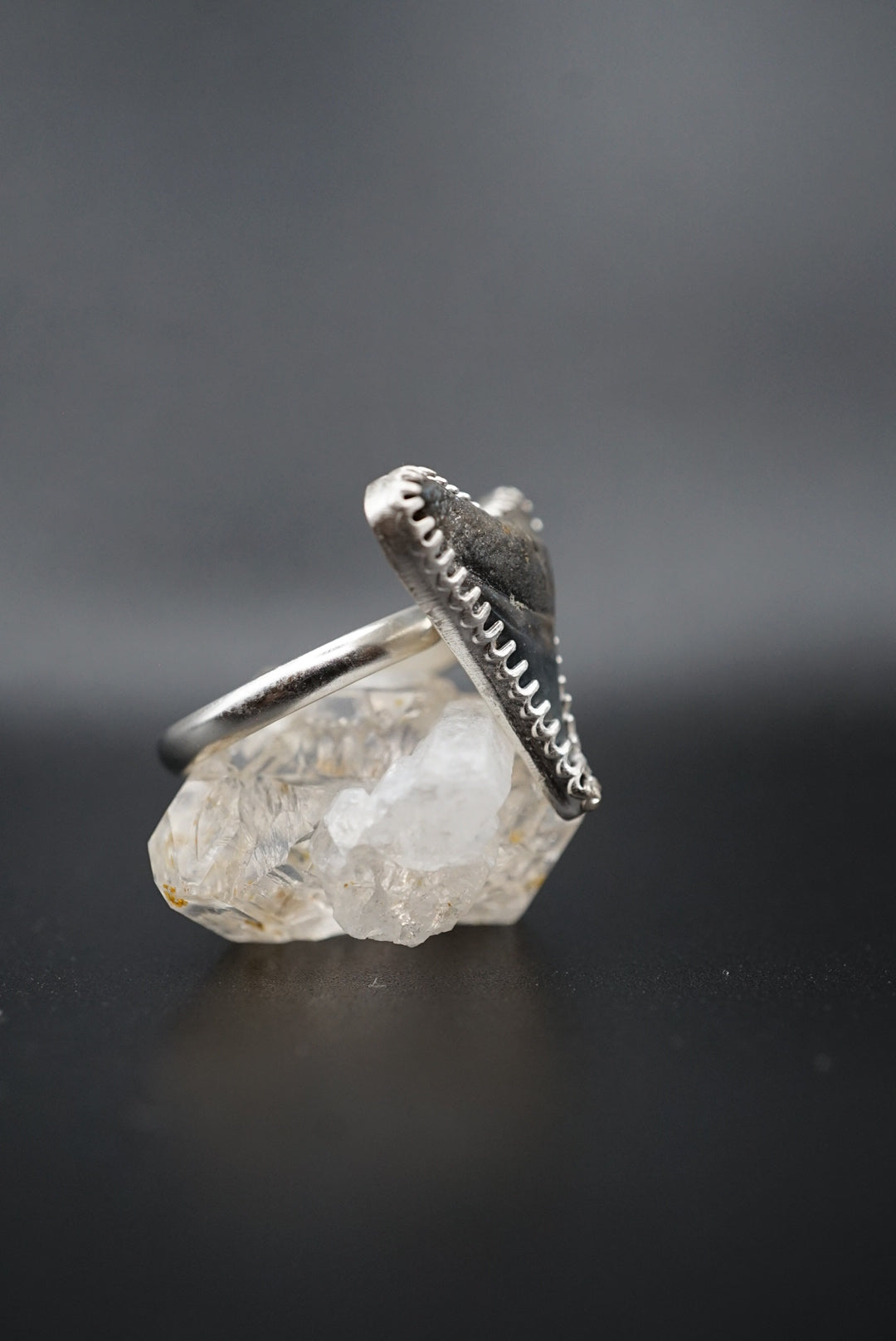 ~Bull Shark Tooth Ring~ Adjustable Size 7.5