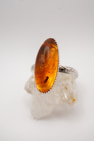 ~Fossilized Ambër Ring~ Size 9