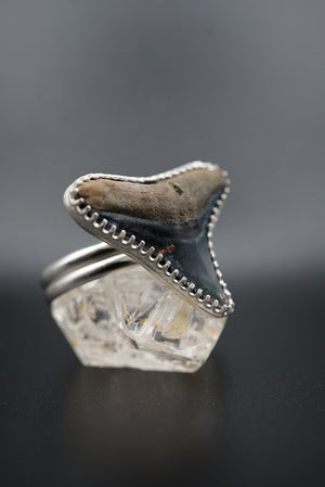~Bull Shark Tooth Ring~ Adjustable Size 10