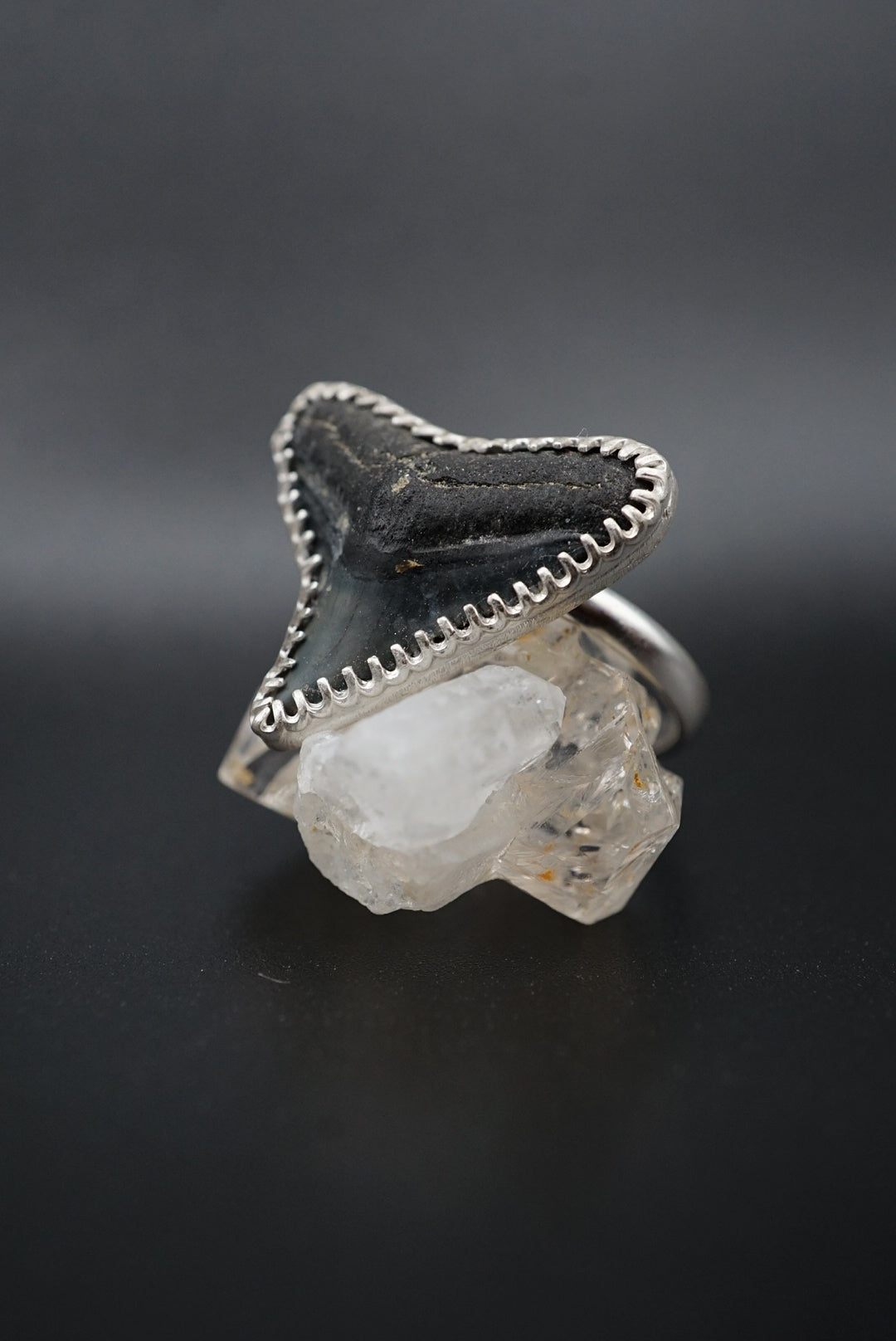 ~Bull Shark Tooth Ring~ Adjustable Size 8.5