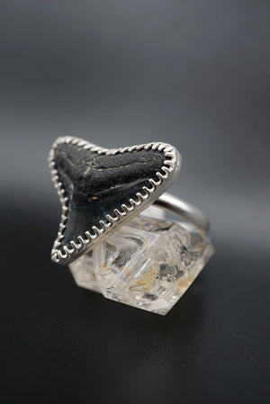~Bull Shark Tooth Ring~ Adjustable Size 8.5