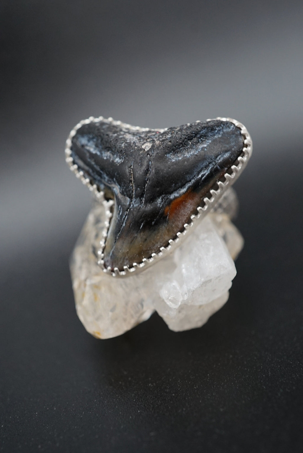 ~Tiger Shark Tooth Ring~ Adjustable Size 8.5 Snakeskin Band