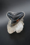 ~Tiger Shark Tooth Ring~ Adjustable Size 8.5 Snakeskin Band