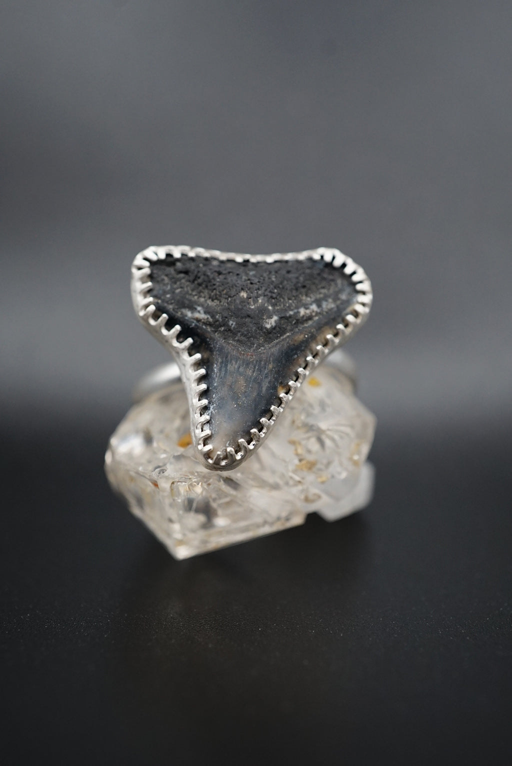 ~Bull Shark Tooth Ring~ Adjustable Size 6.5