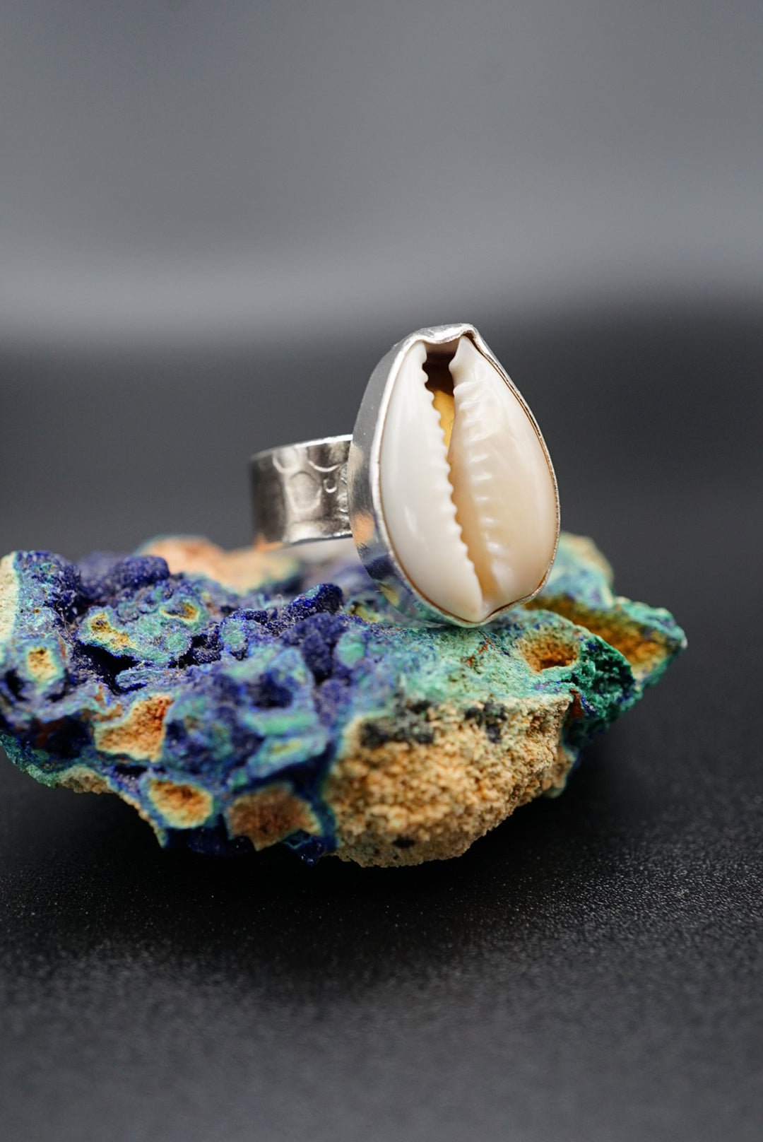 ~Cowrie Shell Ring~ Size 5.5