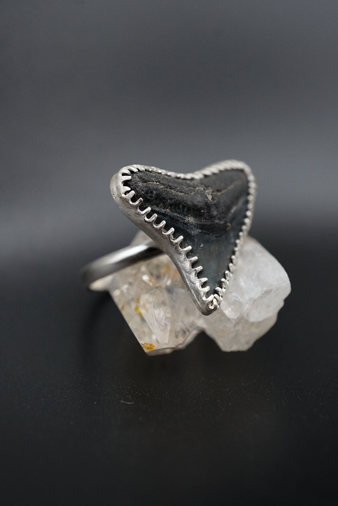 ~Bull Shark Tooth Ring~ Adjustable Size 8.5