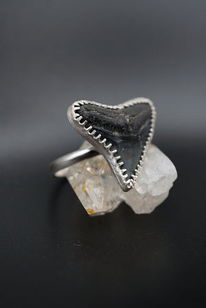 ~Bull Shark Tooth Ring~ Adjustable Size 8.5