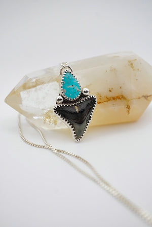 ~Bull Shark Tooth & Turquoise Pendant~ 18” Chain