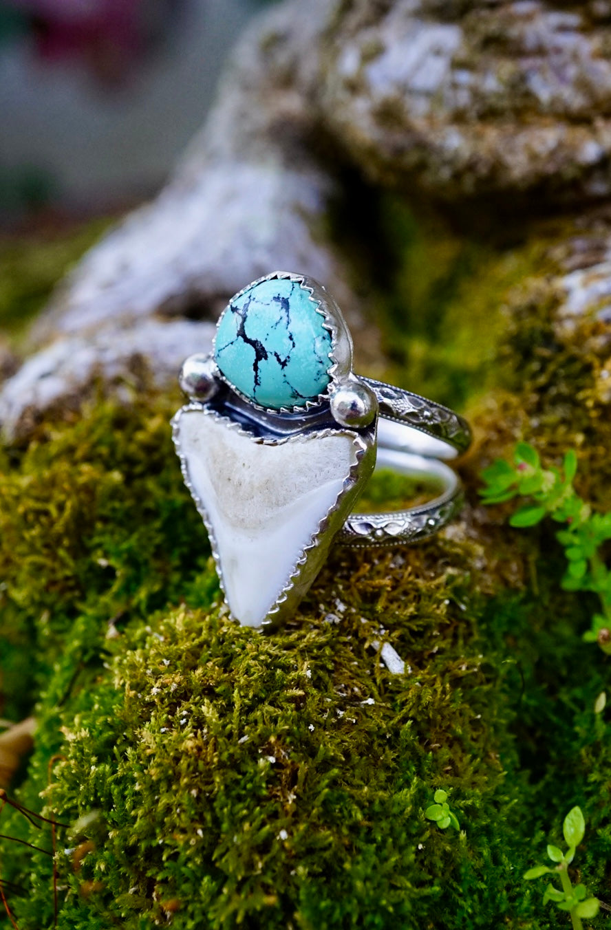 ~•Clöud Möuntain Turquoisē & White Bull Shärk Tooth Ring•~ {Size 8.25}