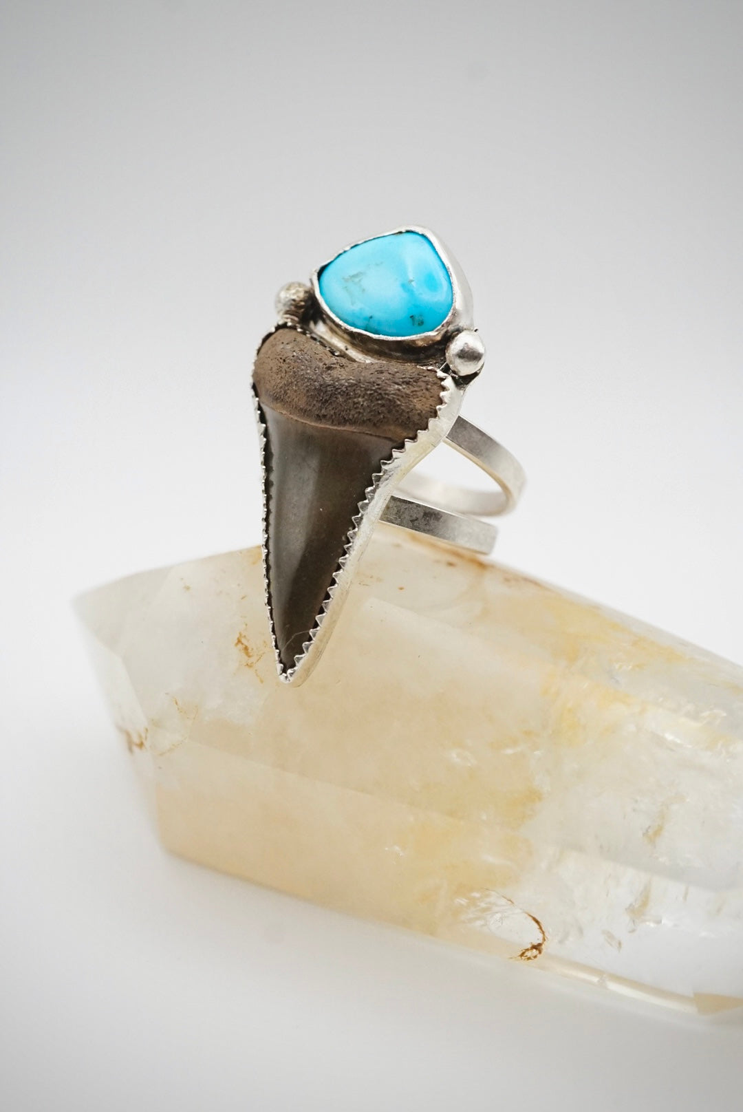 Mako Shark Tooth and Kingman Turquoise Sterling Silver Ring Size 9.5