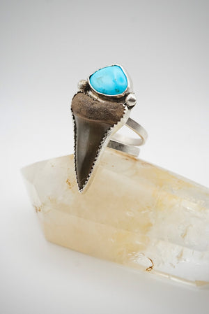 Mako Shark Tooth and Kingman Turquoise Sterling Silver Ring Size 9.5
