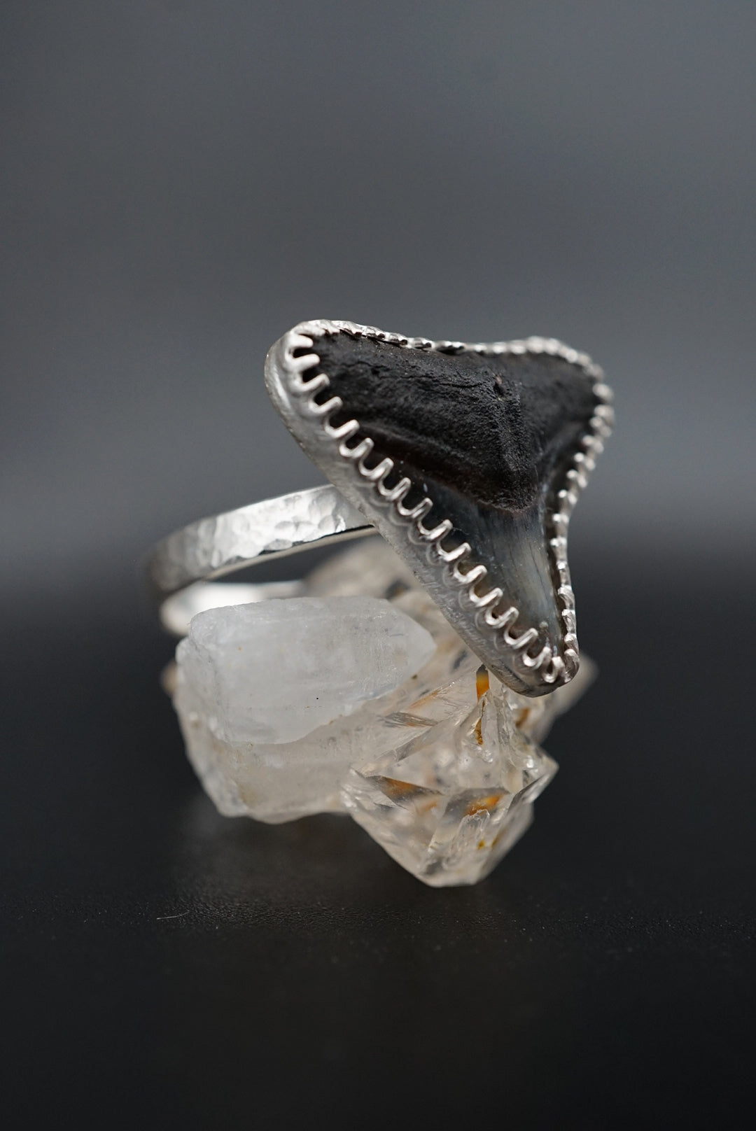 ~Bull Shark Tooth Ring~ Adjustable Size 8.5 Hammered Band
