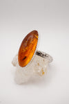 ~Fossilized Ambër Ring~ Size 9
