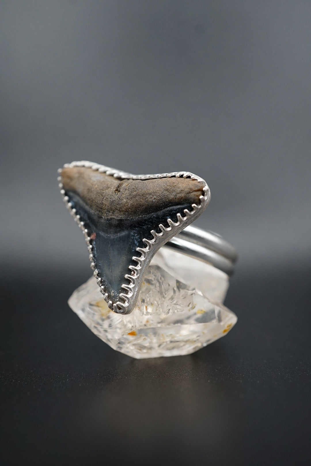 ~Bull Shark Tooth Ring~ Adjustable Size 10
