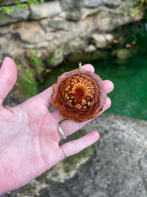 ~Fossilized Amber Resin Pinecone~ Large