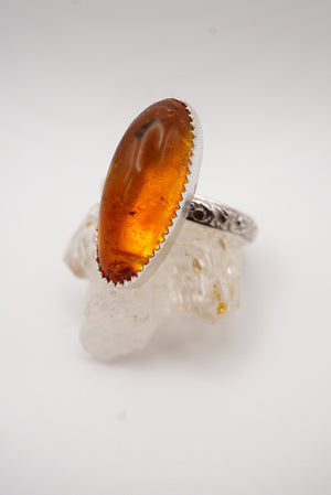 ~Fossilized Ambër Ring~ Size 9
