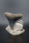 ~Bull Shark Tooth Ring~ Adjustable Size 10