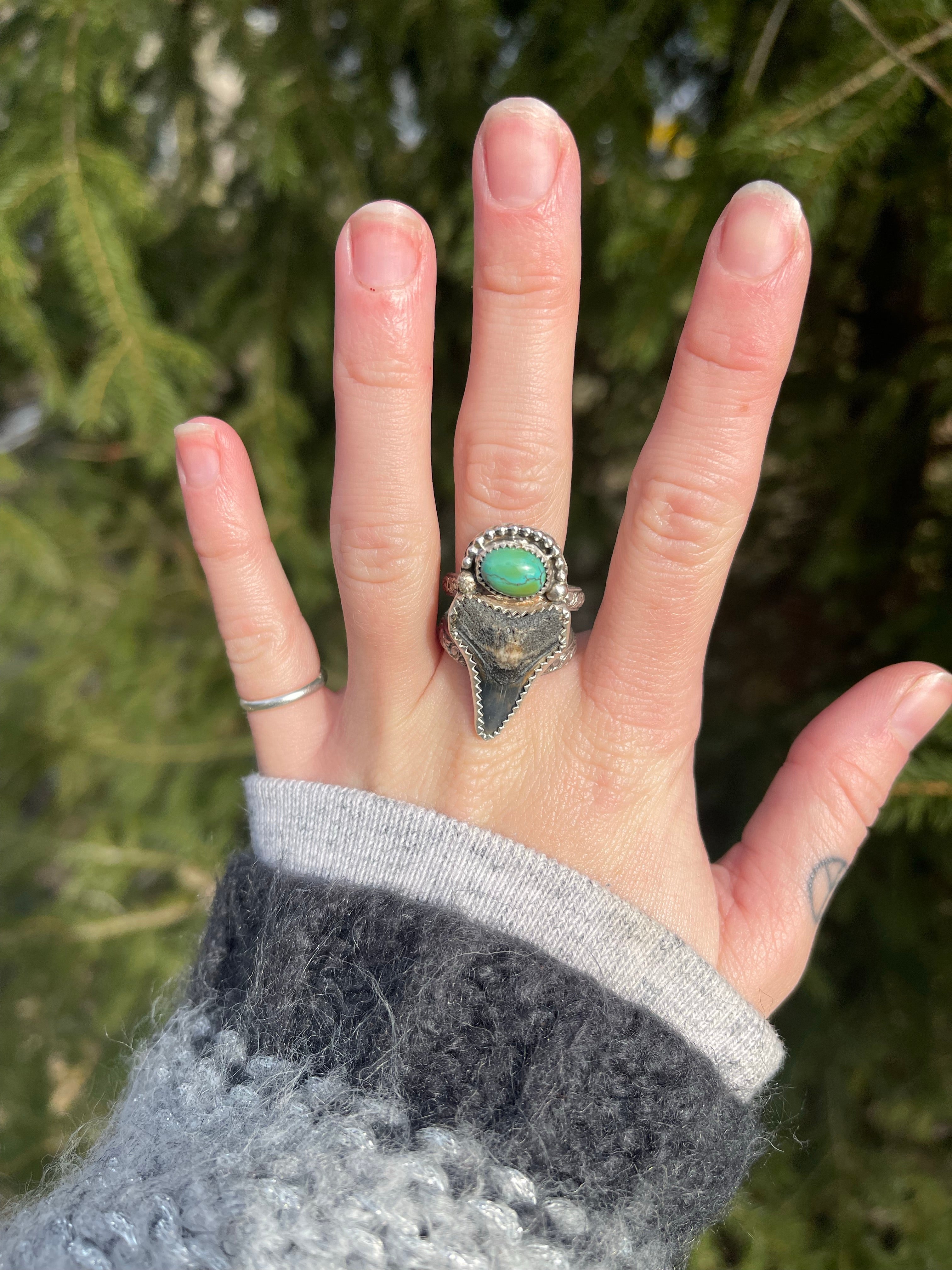 ~Baja Turquoise & Bull Shark Tooth Ring~ {Size 7.5}