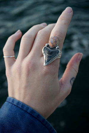 ~Bull Shark & Cantëra Opal Ring~ {Size 8}