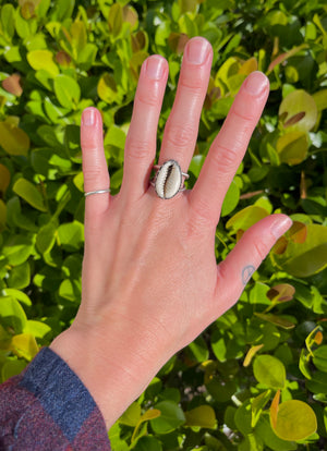 ~Cowrie Shell Ring~ {Size 7}