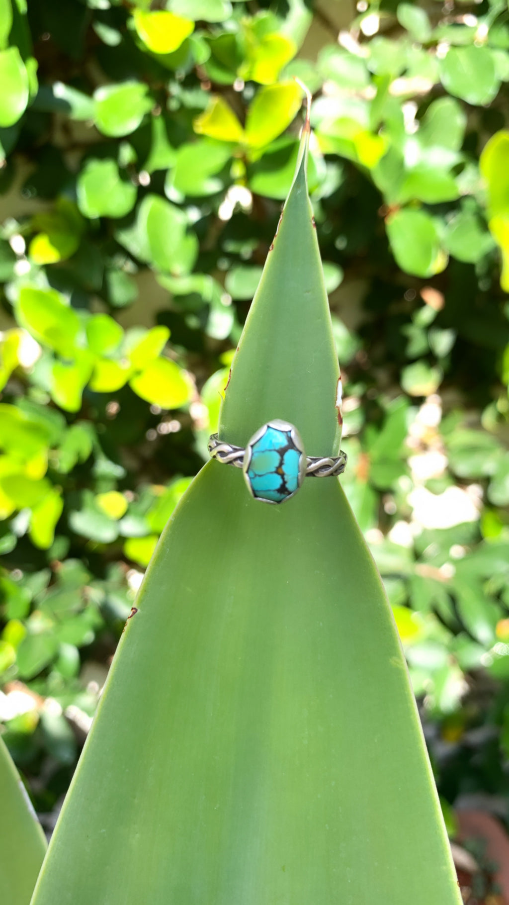 ~ Blue Moon Turquoise ~ {Size 9}