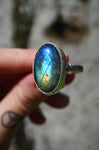 ~Labradoritë Ring~ {Size 10}