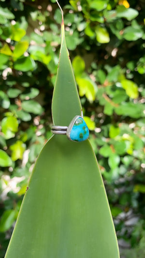 ~ Sonoran Gold Turquoise ~ {Size 6}