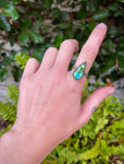 ~ Sonoran Gold Turquoise Ring ~ Size 7