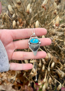 ~Blue Ridge Turquoise & Bull Shark Tooth Necklace~ {18” Chain}